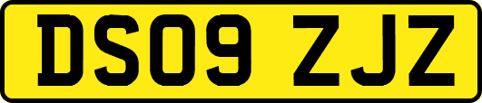 DS09ZJZ