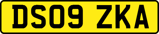 DS09ZKA