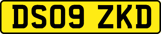 DS09ZKD