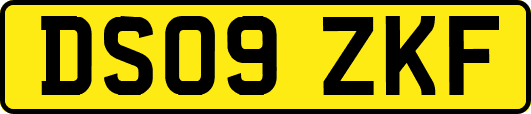 DS09ZKF