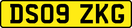 DS09ZKG