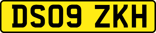 DS09ZKH