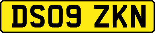 DS09ZKN