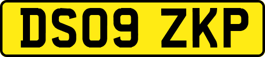 DS09ZKP