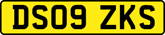 DS09ZKS
