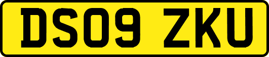 DS09ZKU
