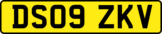 DS09ZKV