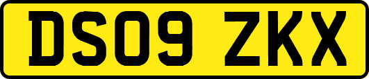 DS09ZKX