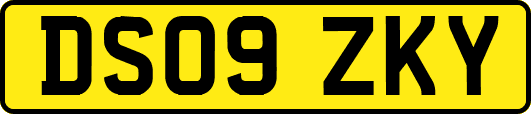 DS09ZKY