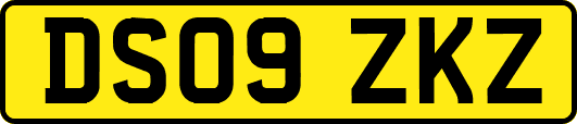 DS09ZKZ