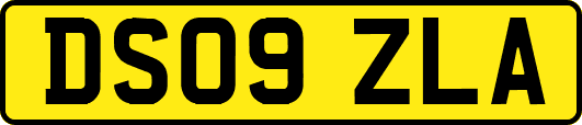 DS09ZLA
