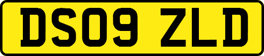 DS09ZLD