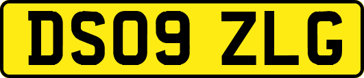 DS09ZLG