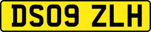 DS09ZLH