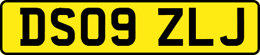 DS09ZLJ