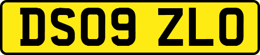 DS09ZLO