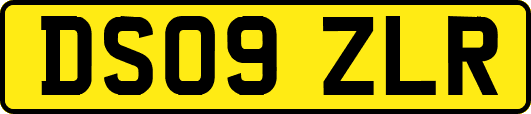 DS09ZLR