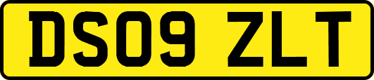 DS09ZLT