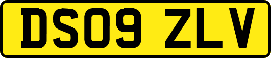 DS09ZLV