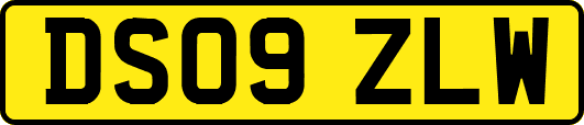 DS09ZLW