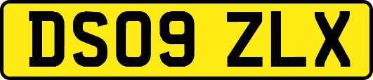 DS09ZLX