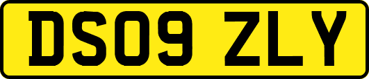 DS09ZLY