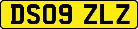 DS09ZLZ