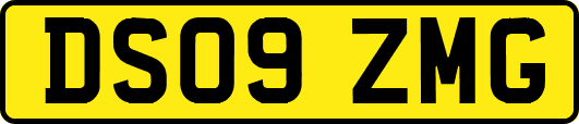 DS09ZMG