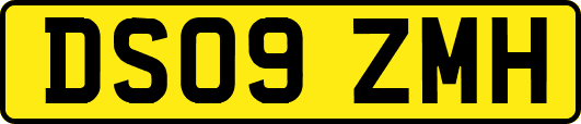 DS09ZMH