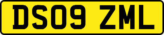 DS09ZML