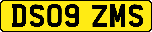DS09ZMS