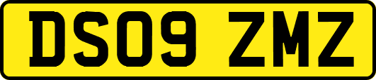 DS09ZMZ