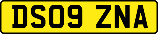 DS09ZNA
