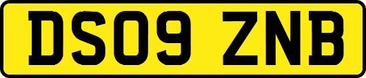 DS09ZNB