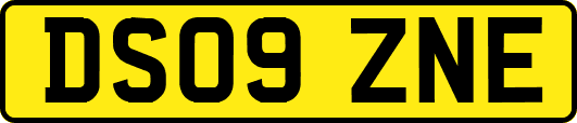 DS09ZNE