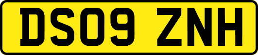 DS09ZNH