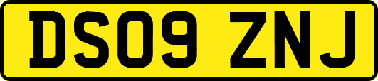 DS09ZNJ