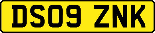 DS09ZNK