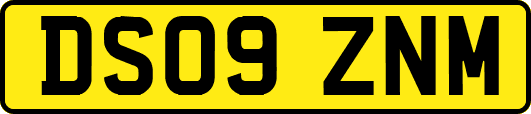 DS09ZNM