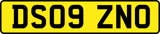 DS09ZNO