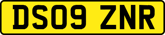 DS09ZNR