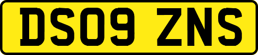 DS09ZNS