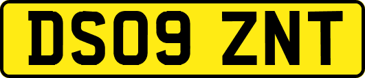DS09ZNT