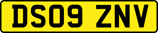 DS09ZNV