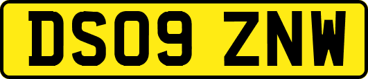 DS09ZNW