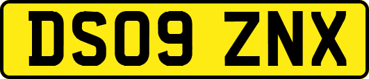 DS09ZNX