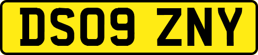 DS09ZNY