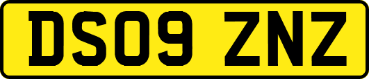 DS09ZNZ