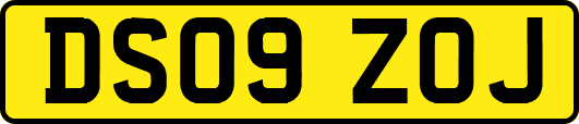 DS09ZOJ