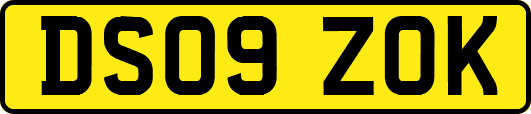DS09ZOK